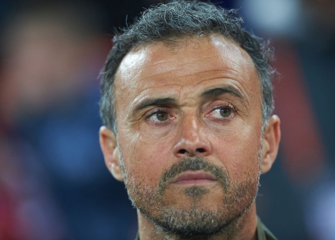 Luis Enrique elogia el “Excepcional” Mercado de Fichajes del PSG